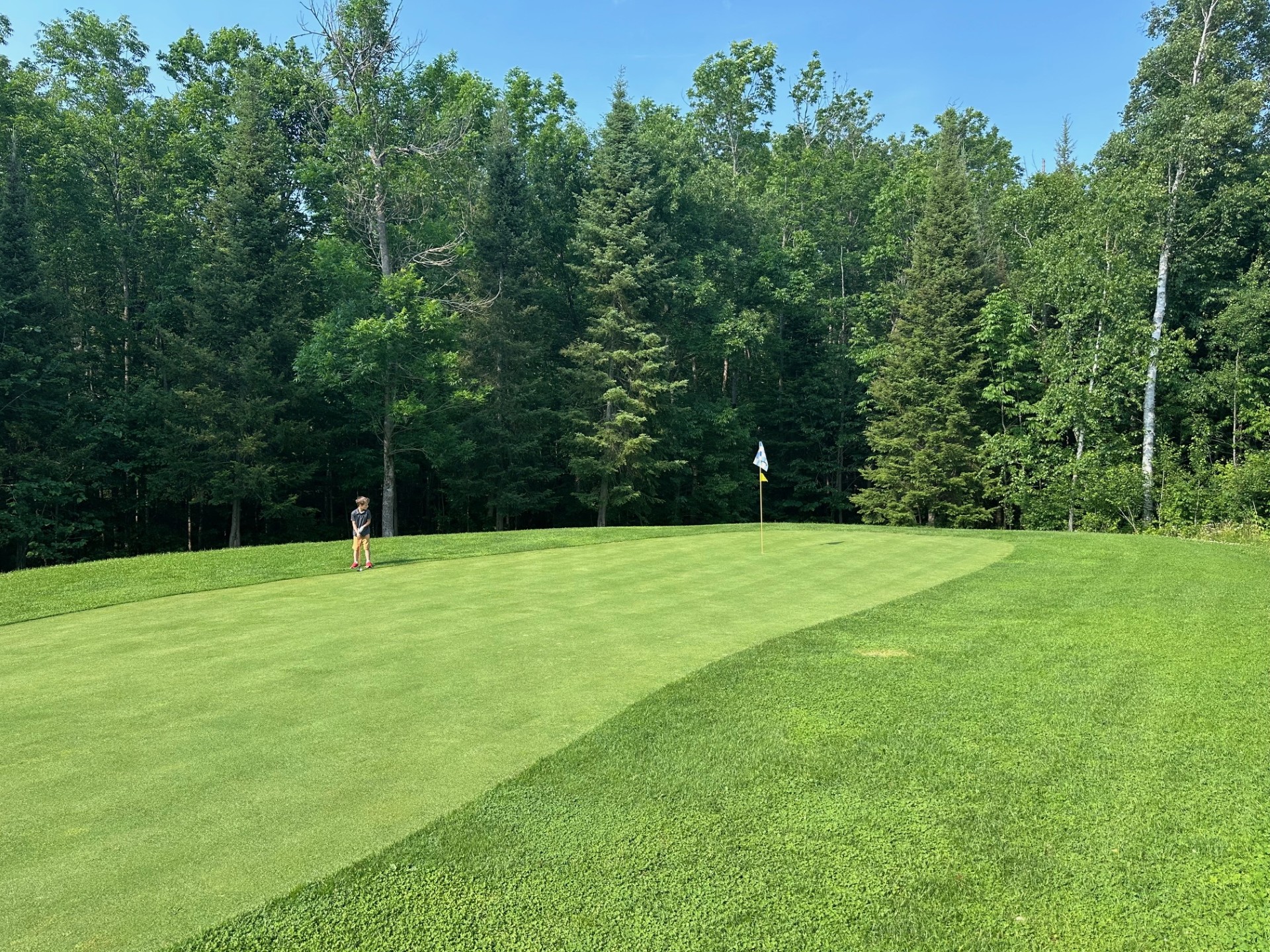 a lush golf green at Terrace Suites, surrounded by trees on a summer day.