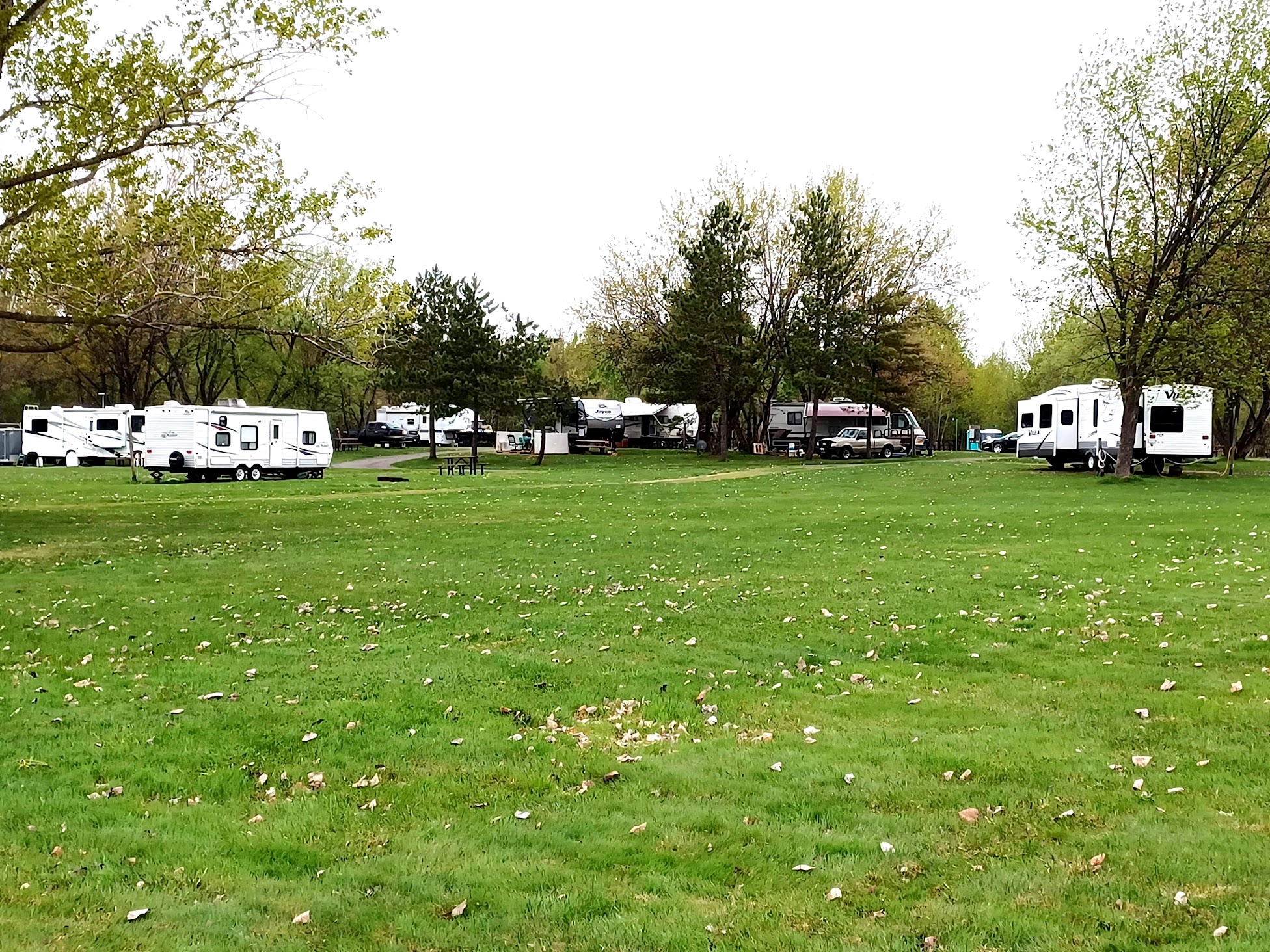 a row of RVs nestled on a green lawn next to a band of large shade trees at Whitewater Lake RV park.