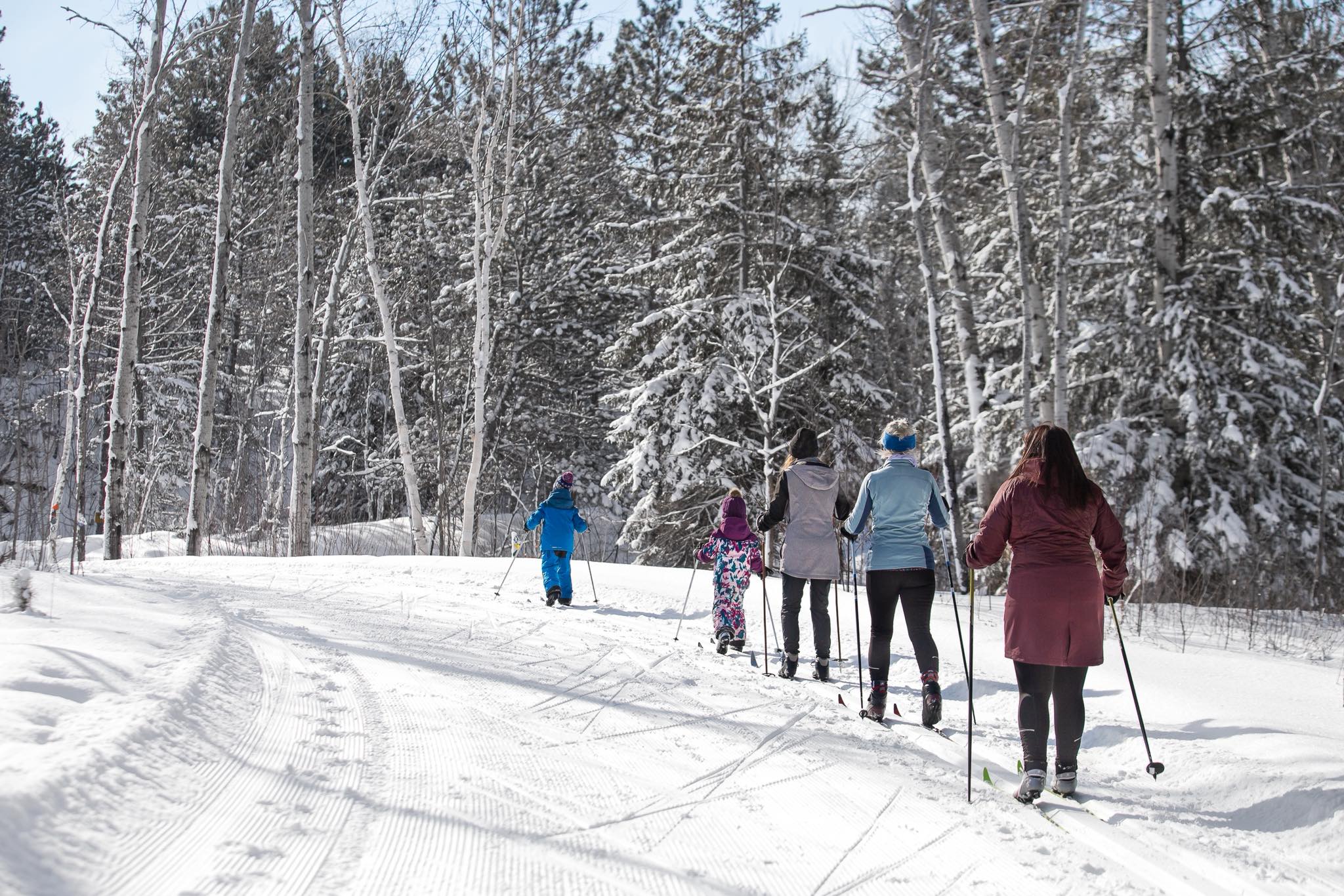 cross-country skiers ranging in age from very young children to seniors ski in a line on a trail in Kivi Park on a sunny winter day. 