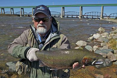 an angler holds up a large steelhead trout in front of the St. Marys Rapids and the International Bridge.