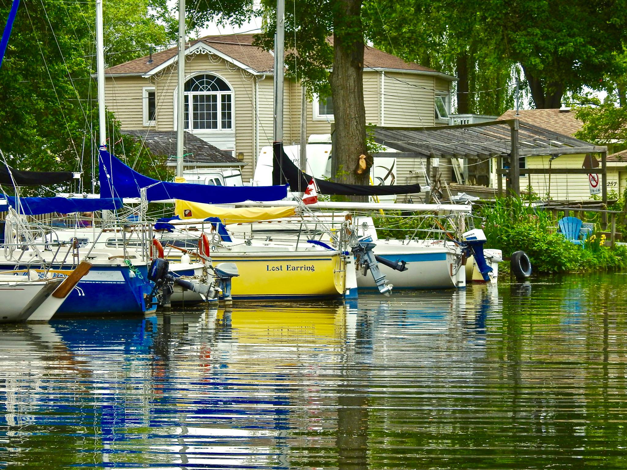 a row of brightly coloured boats tucked along a quiet edge of Cook's Bay Marina, where calm water is shaded by lush green trees and residences. 