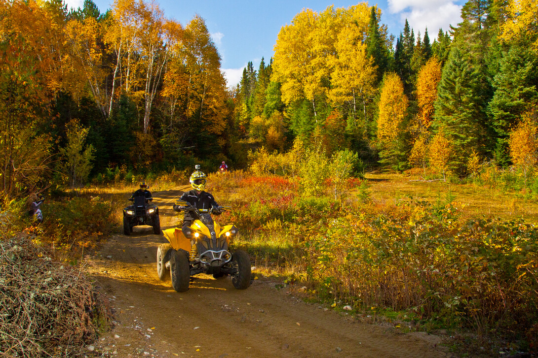 riders drive their ATVs along a leaf-covered path on a golden autumn morning, the trees around them lit up with yellow and orange tones. 