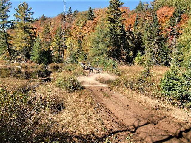 a dirt ATV trail passing though thick forest and scrubland near Edgewater Park Lodge.