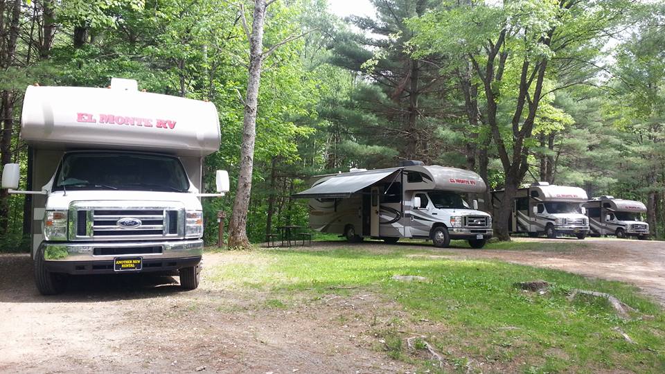 RVs parked side by side in a verdant forested campground at Parry Sound KOA.