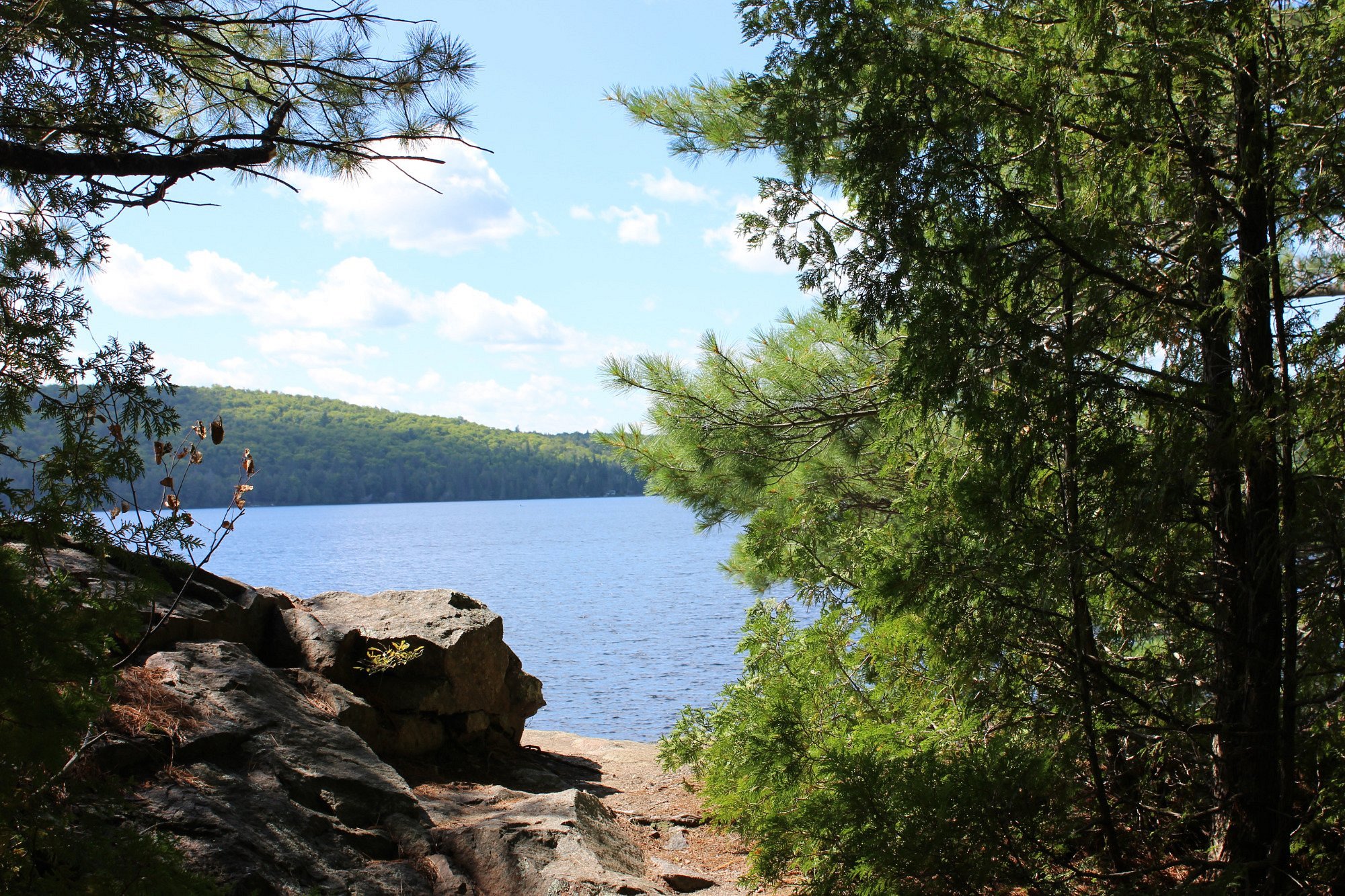 a shining blue lake peeks out from thick green forest beyond a rocky shore at Rock Lake Campground. 