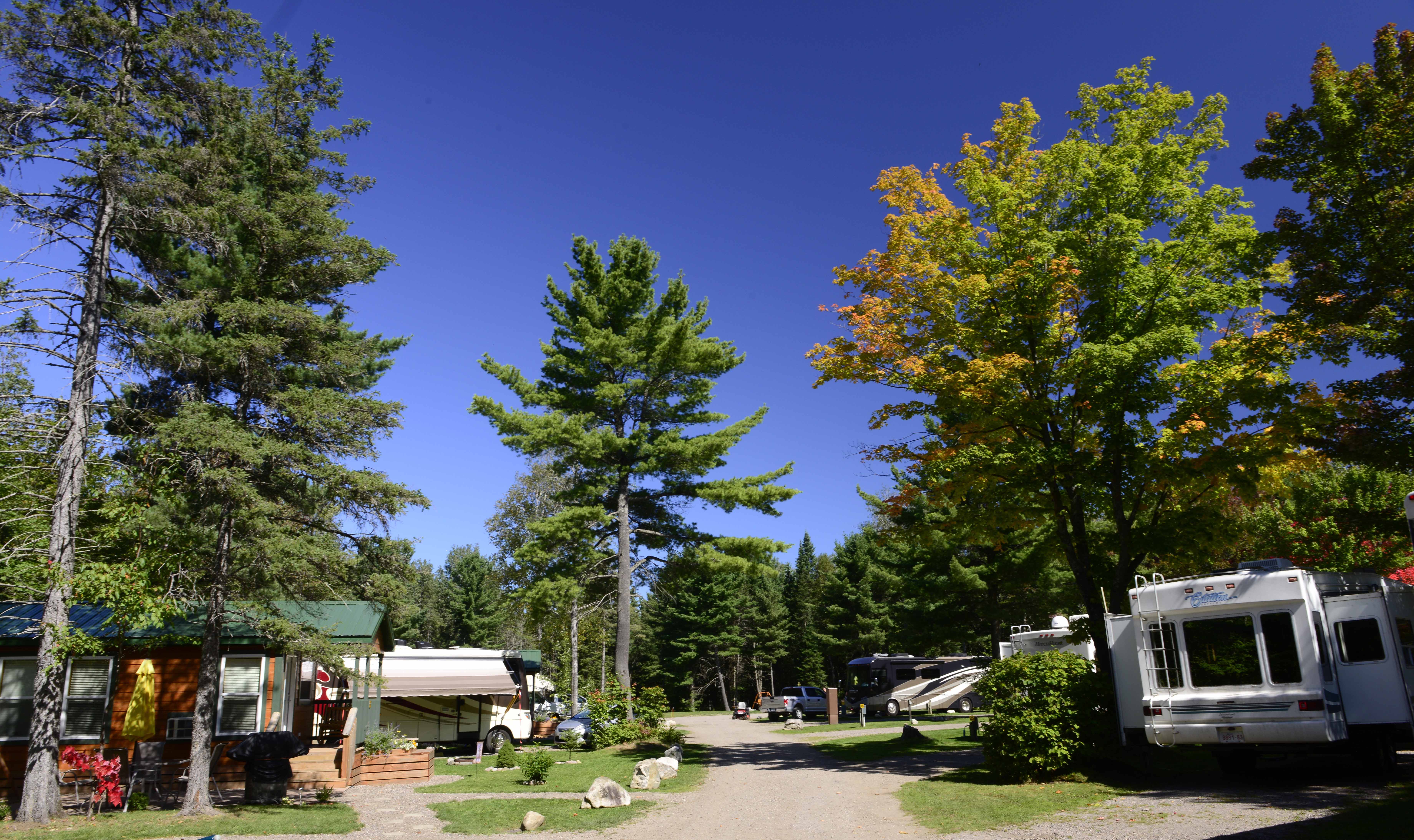 the little wooden park office buildings at the mouth of Sault Ste. Marie KOA, surrounded by tall green trees just starting to turn for autumn under a deep blue cloudless sky. 