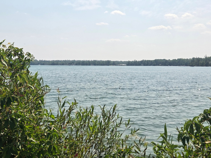 calm, soft blue summer sky and lake water surrounded by short green foliage. 