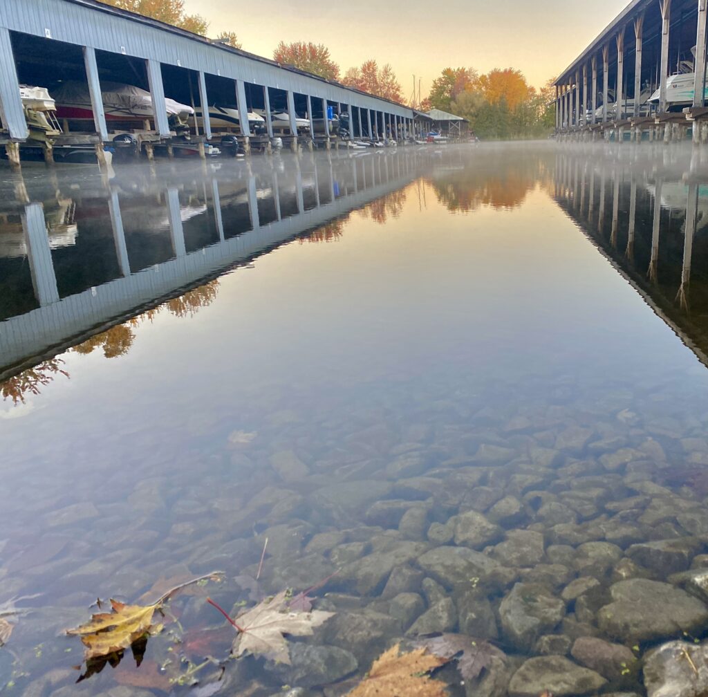 At Flying Bridge Marina, glassy, crystal-clear water with autumn maple leaves floating on the surface glows faintly with golden sunlight at dawn. Boats wait quietly in the covered slips in the background. 
