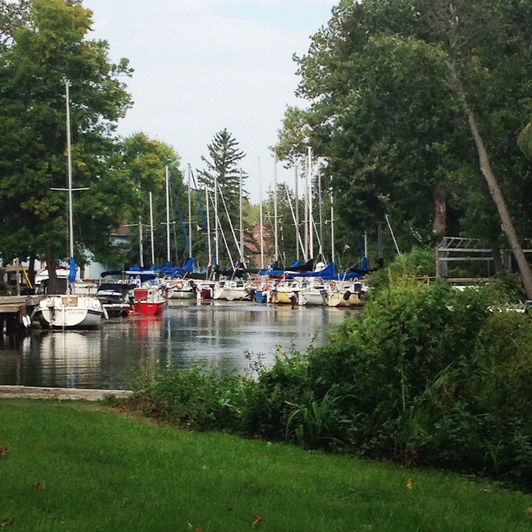 rows of boats docked along the grassy and lushly forested shores of Cook's Bay Marina.