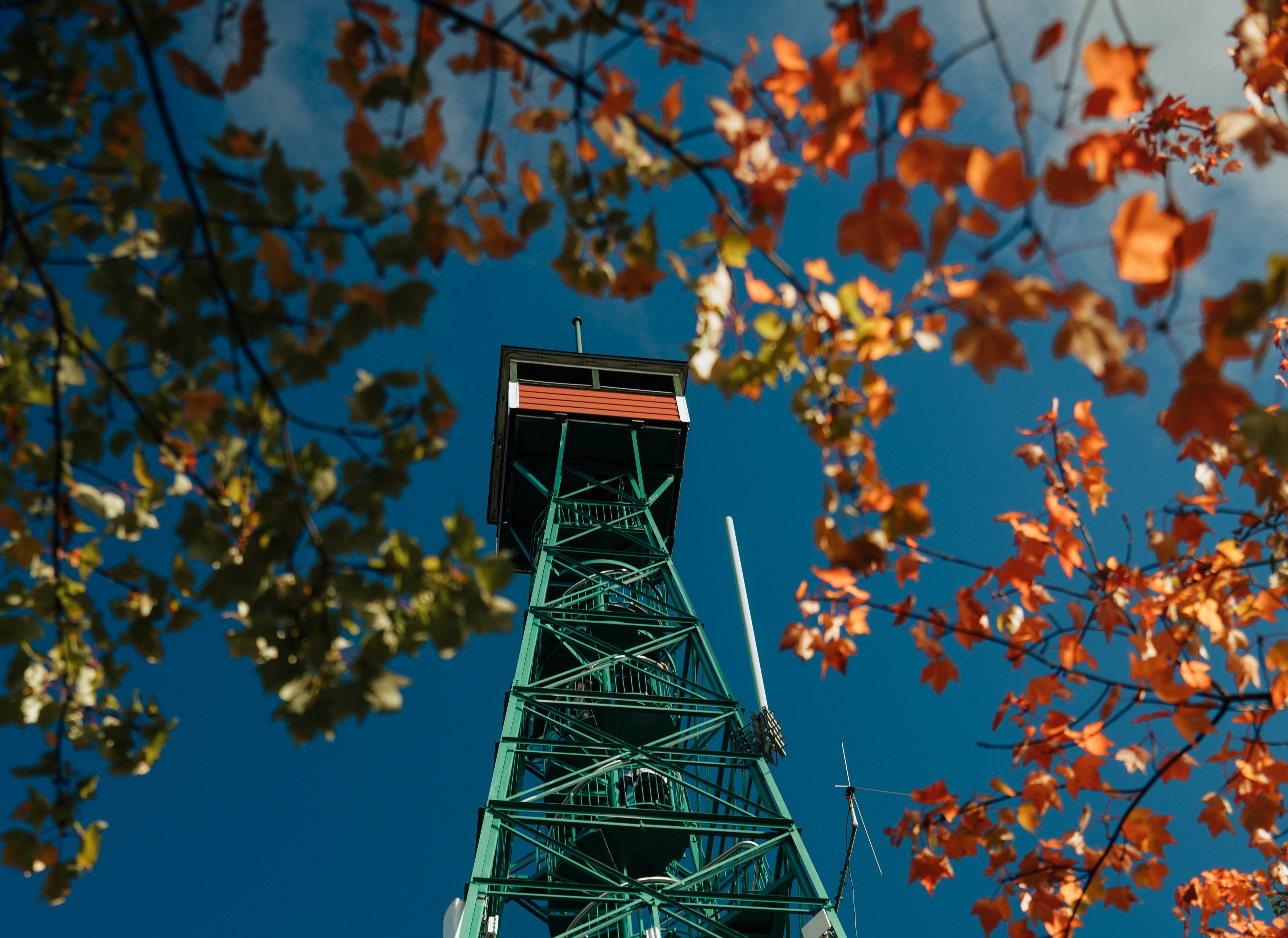 Temagami Fire Tower
