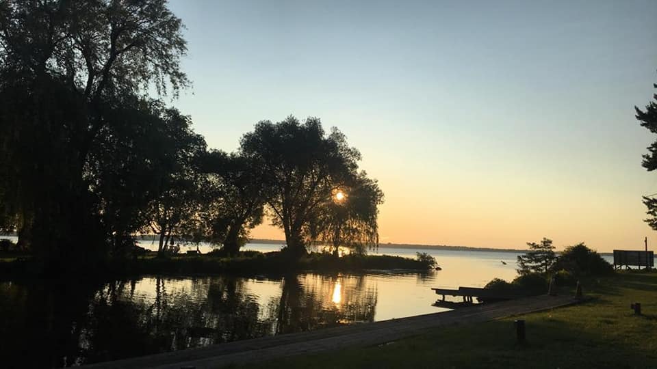 large, draping trees at the water's edge of Cook's Bay Marina, silhouetted against a soft orange summer sunset. 