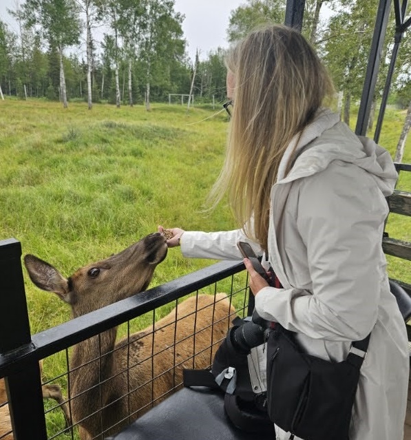 a woman feeds a deer by hand from a platform in a green, treed field at Cedar Meadows Resort. 