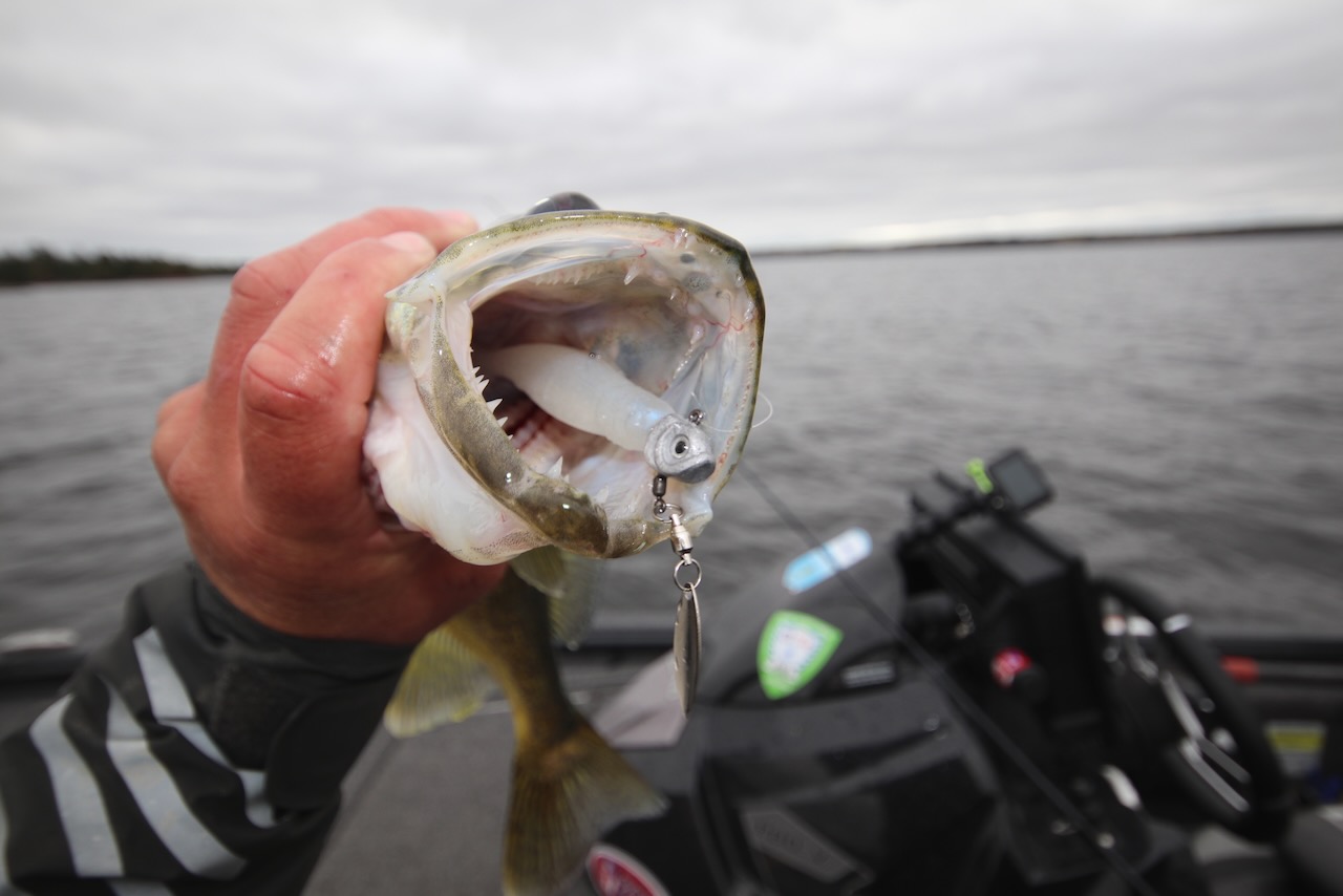 Catch more fish using the help of your electronics.