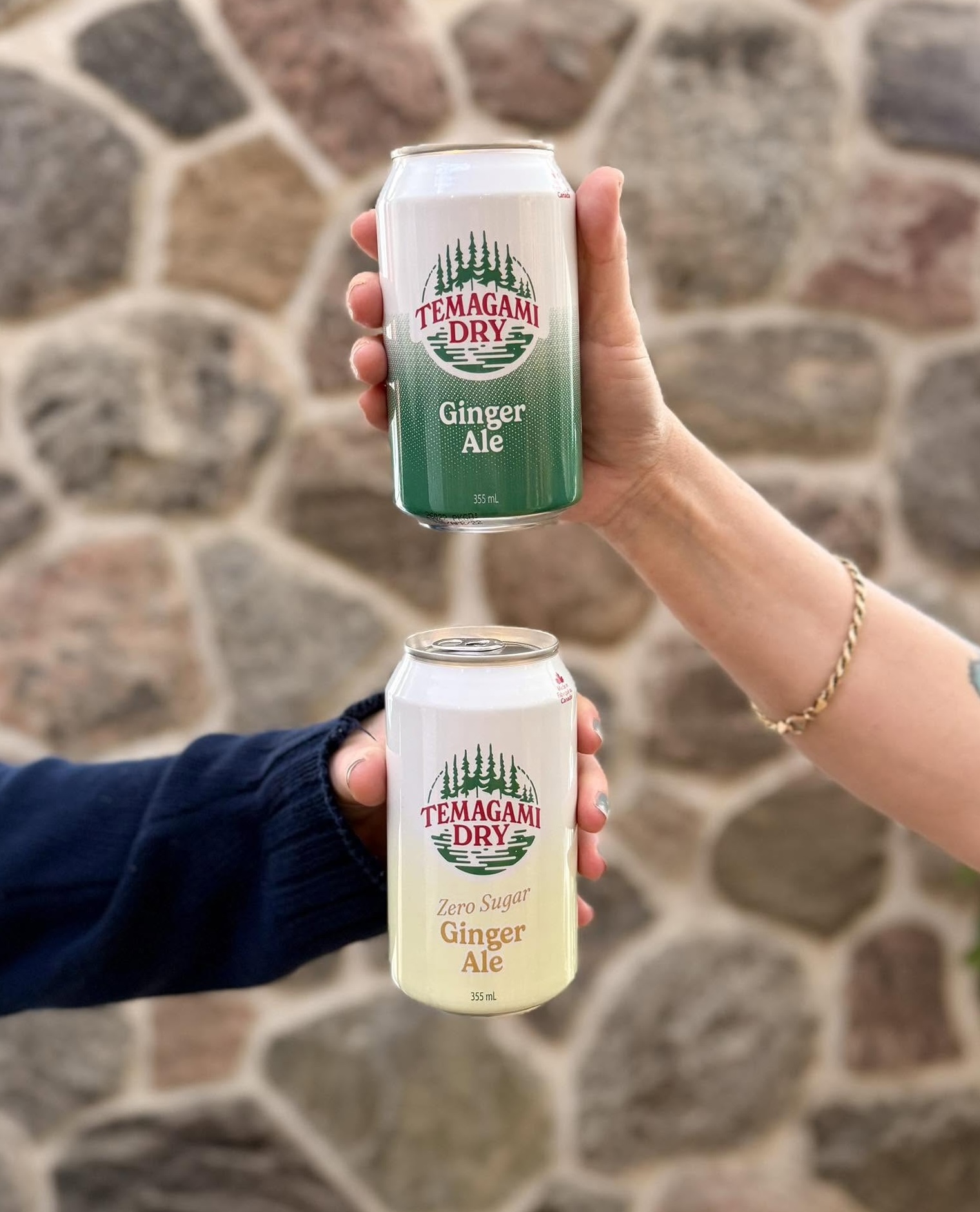 two hands hold up Temagami Dry ginger ale and Temagami Dry no sugar ginger ale in front of a stone background.