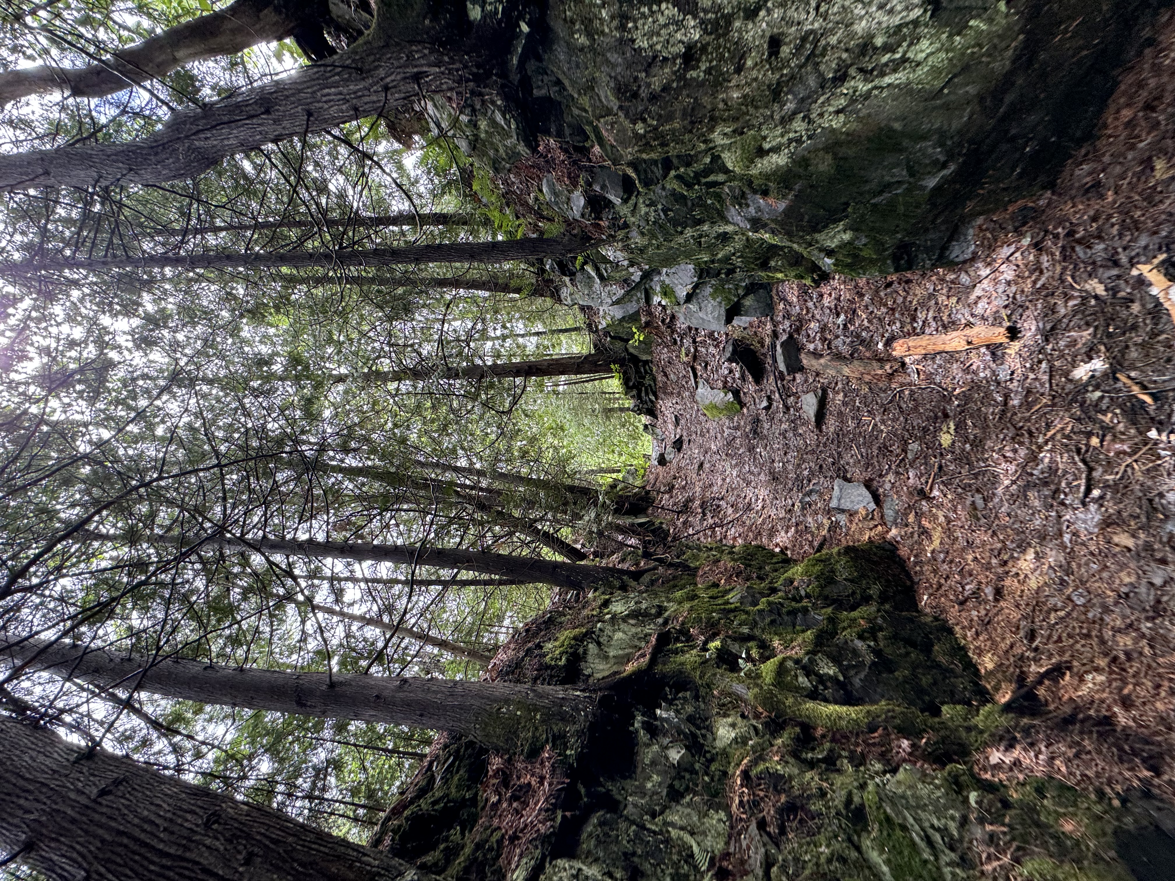 Hiking trail at Chutes Provincial Park