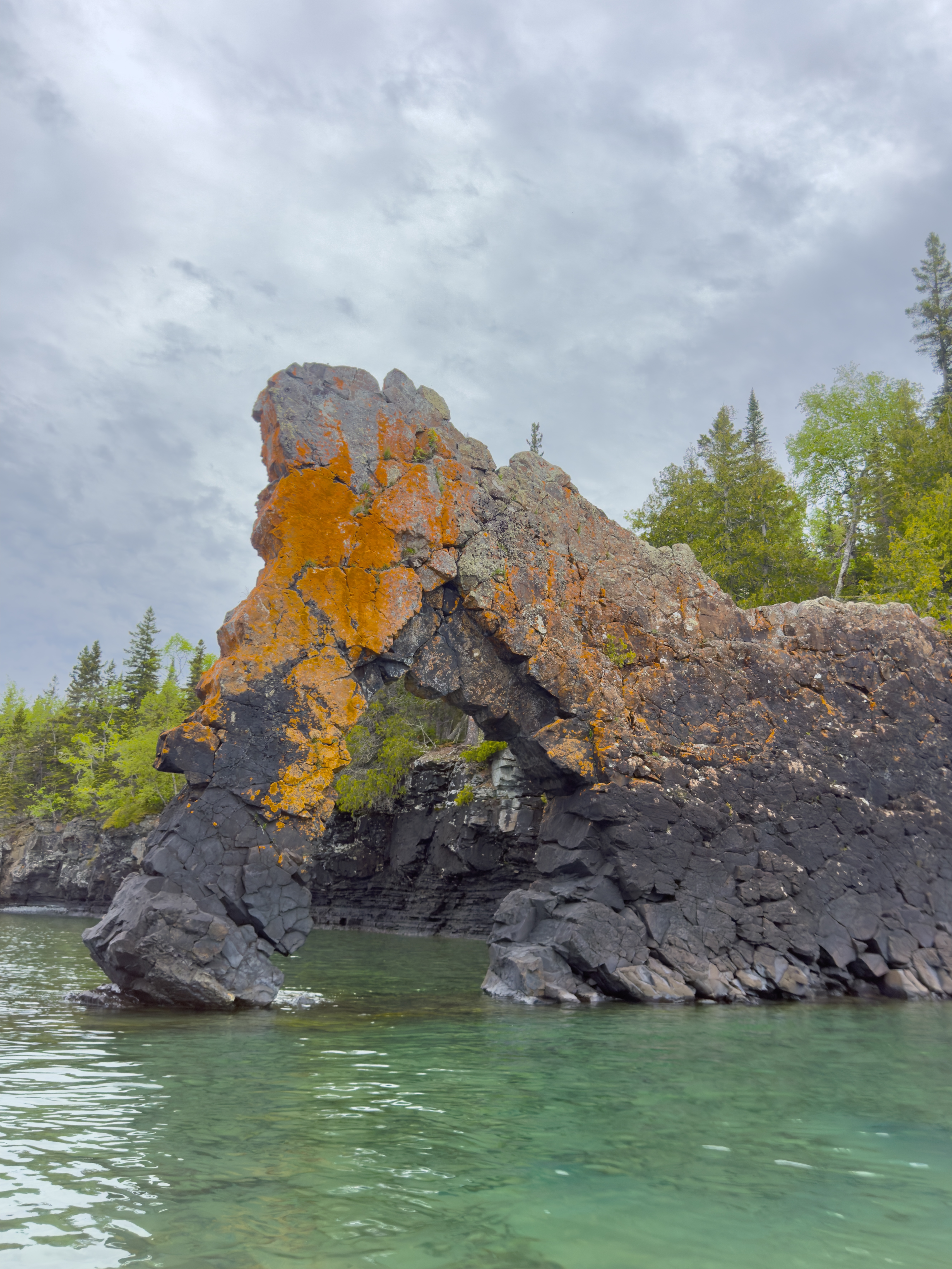 Sea Lion - Sleeping Giant Provincial Park