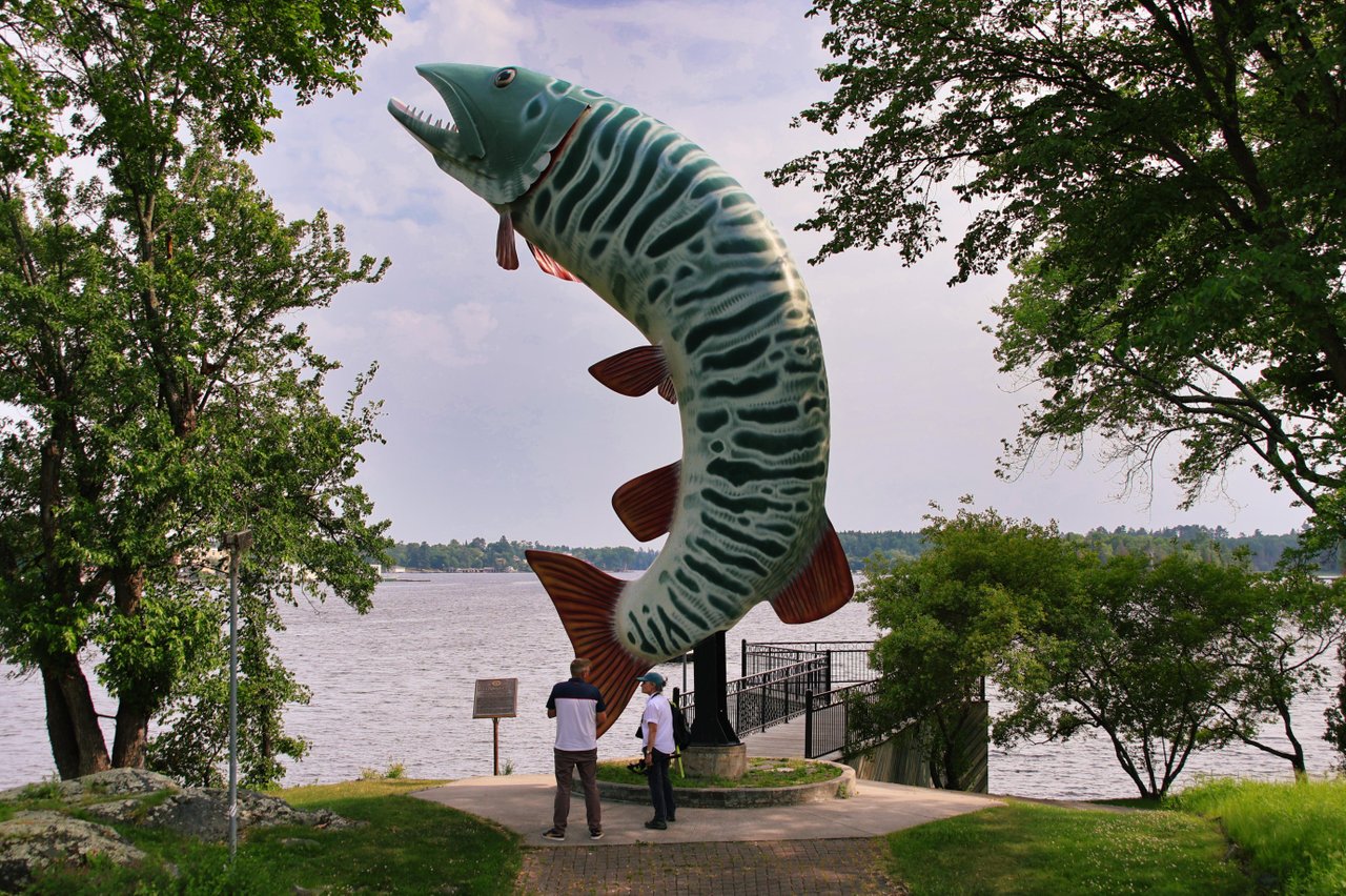 huskie the muskie
