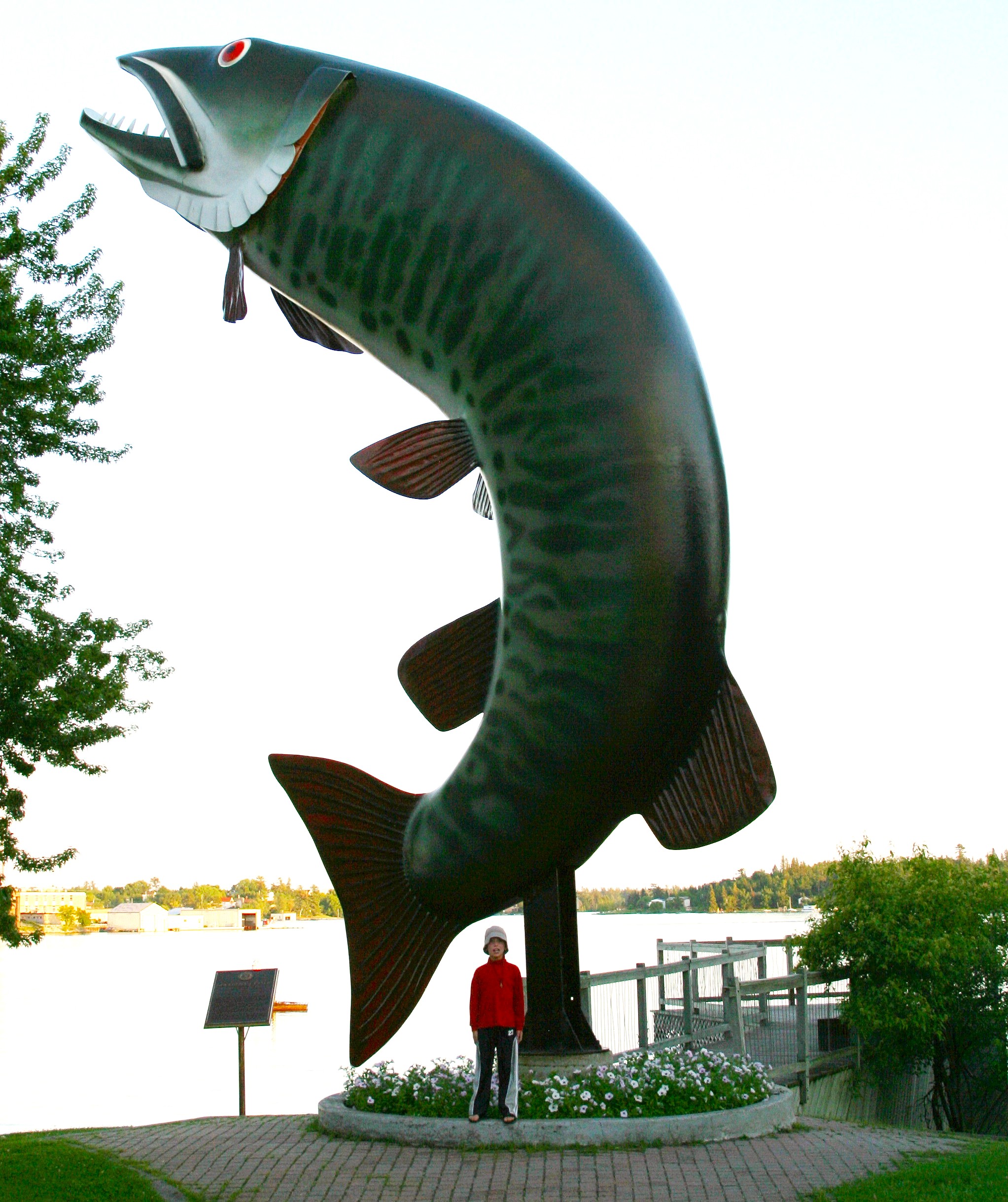 Huskie the Muskie on Lake of the Woods in Kenora.