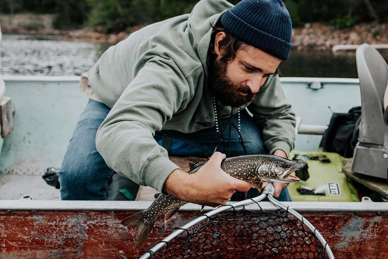lake trout