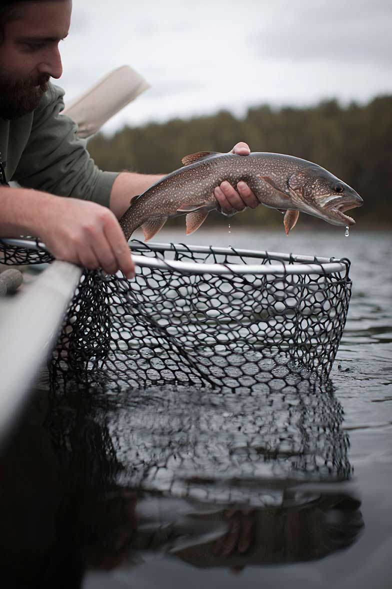 trout