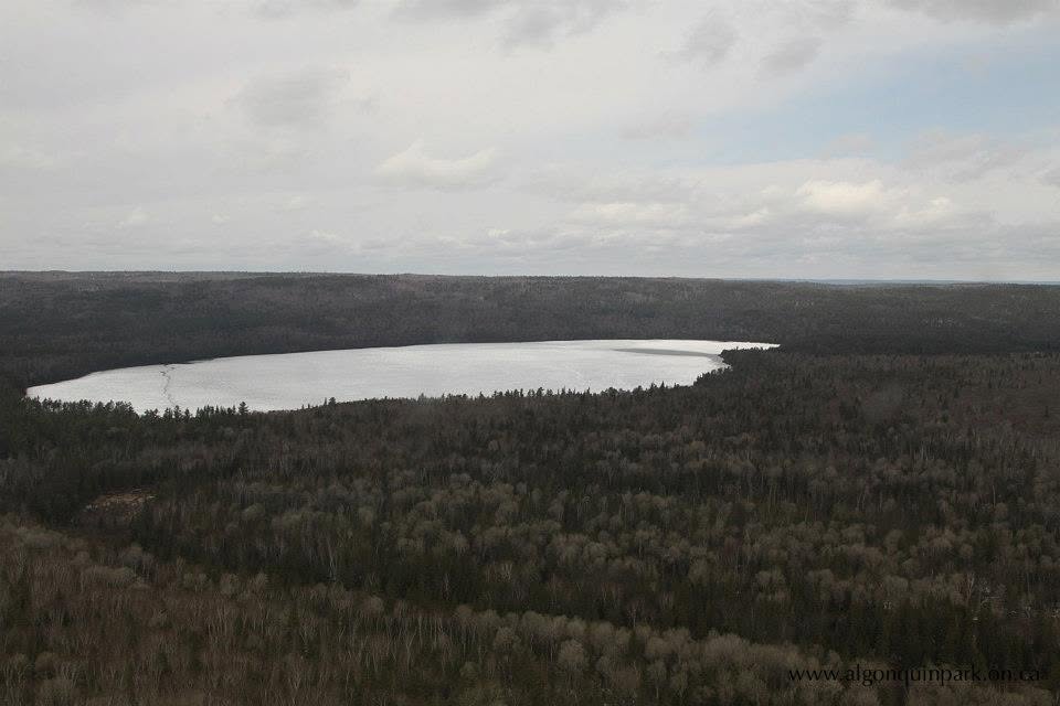 A silvery Gilmour Lake sits at the bottom of a wide, forested crater stretching out wide in all directions under a cloudy sky. 