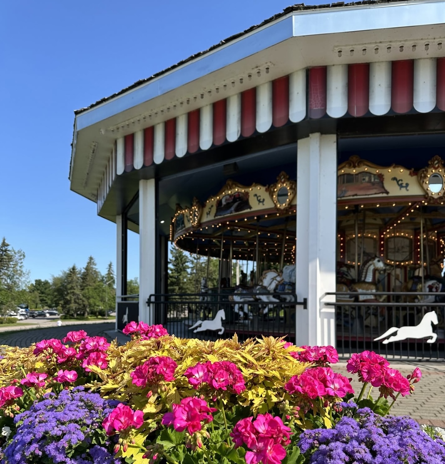 An antique carousel in North Bay, brightly painted and surrounded in flowerbeds on a bright blue summer day.