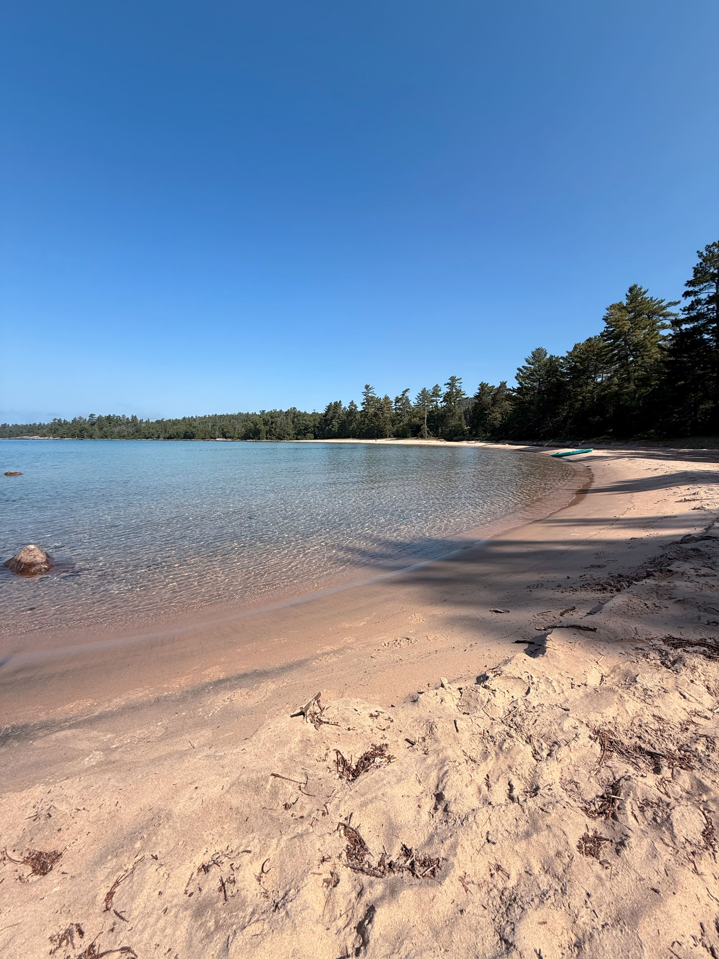 beautiful boreal forest beach