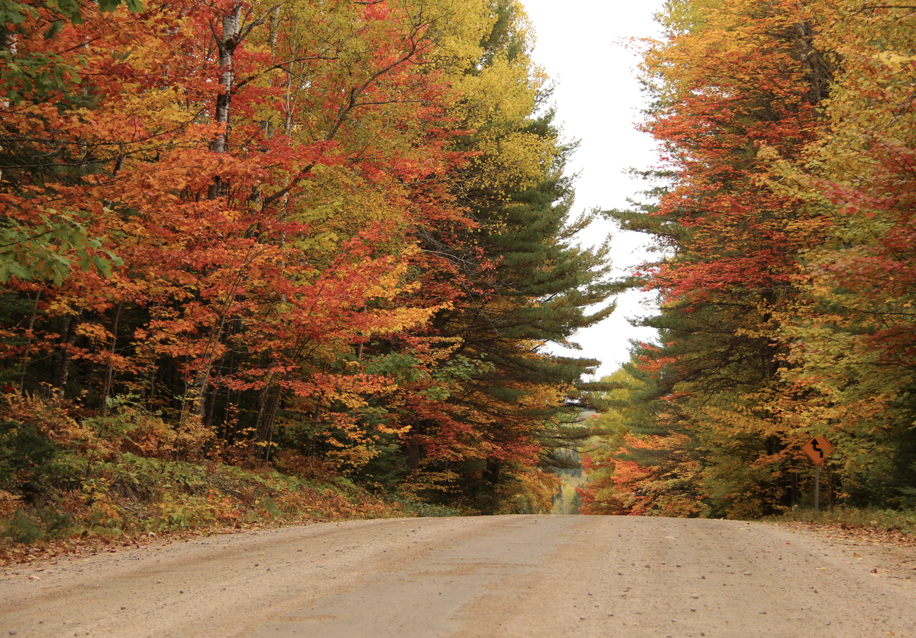 Fall colours driving through Mattawa