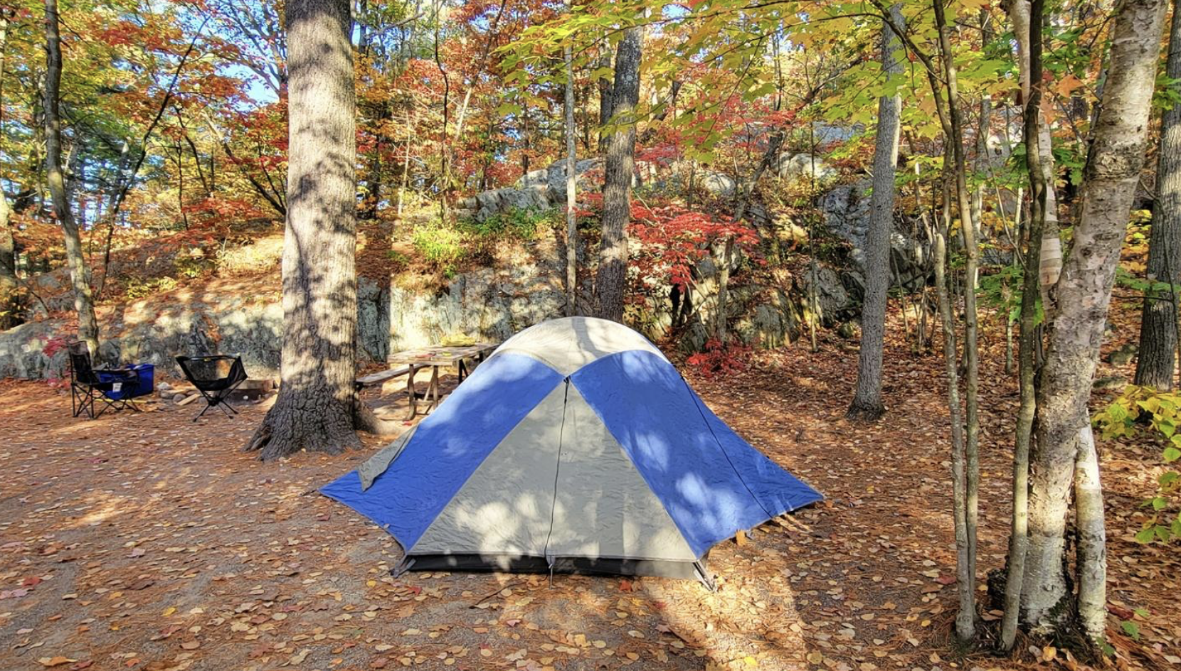 A blue tent on a packed earth campsite surrounded by towering aspen and maple trees raining vibrant red, yellow and gold leaves. 