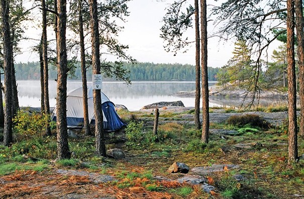 a blue tent sits among tall pines next to a silvery lake in the early morning in September. 