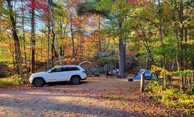 a person sits at a campsite next to their tent and car under a canopy of brightly coloured autumn trees at Killarney Provincial Park. 