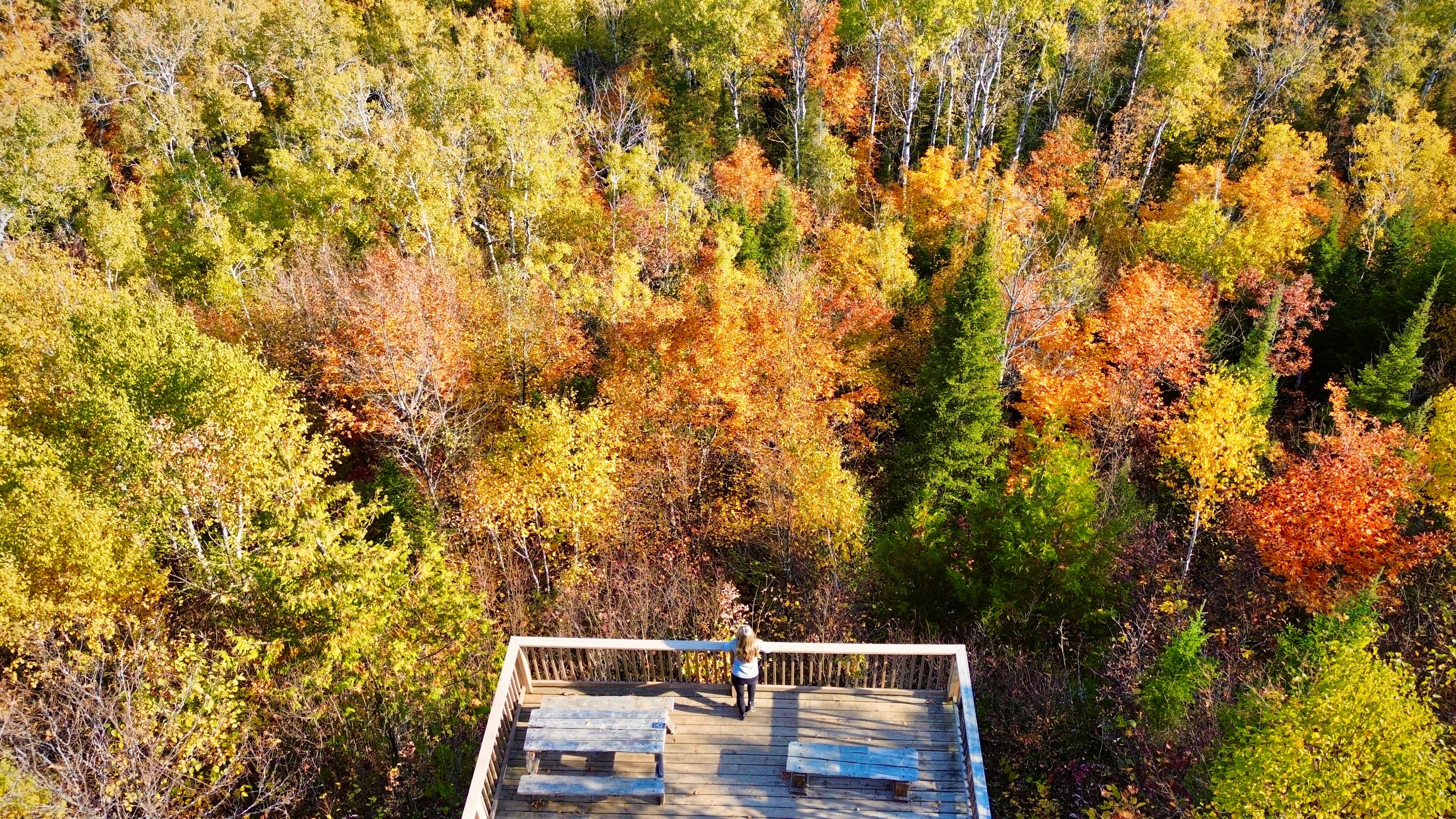 Bebamikawe Trail lookout in Wikwemikong with yellow and gold leaves