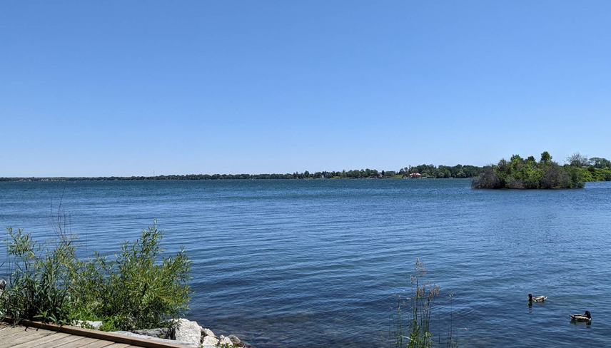 Lake Simcoe stretching out blue and rippling from the forested shore under a vibrant, clear summer sky. 