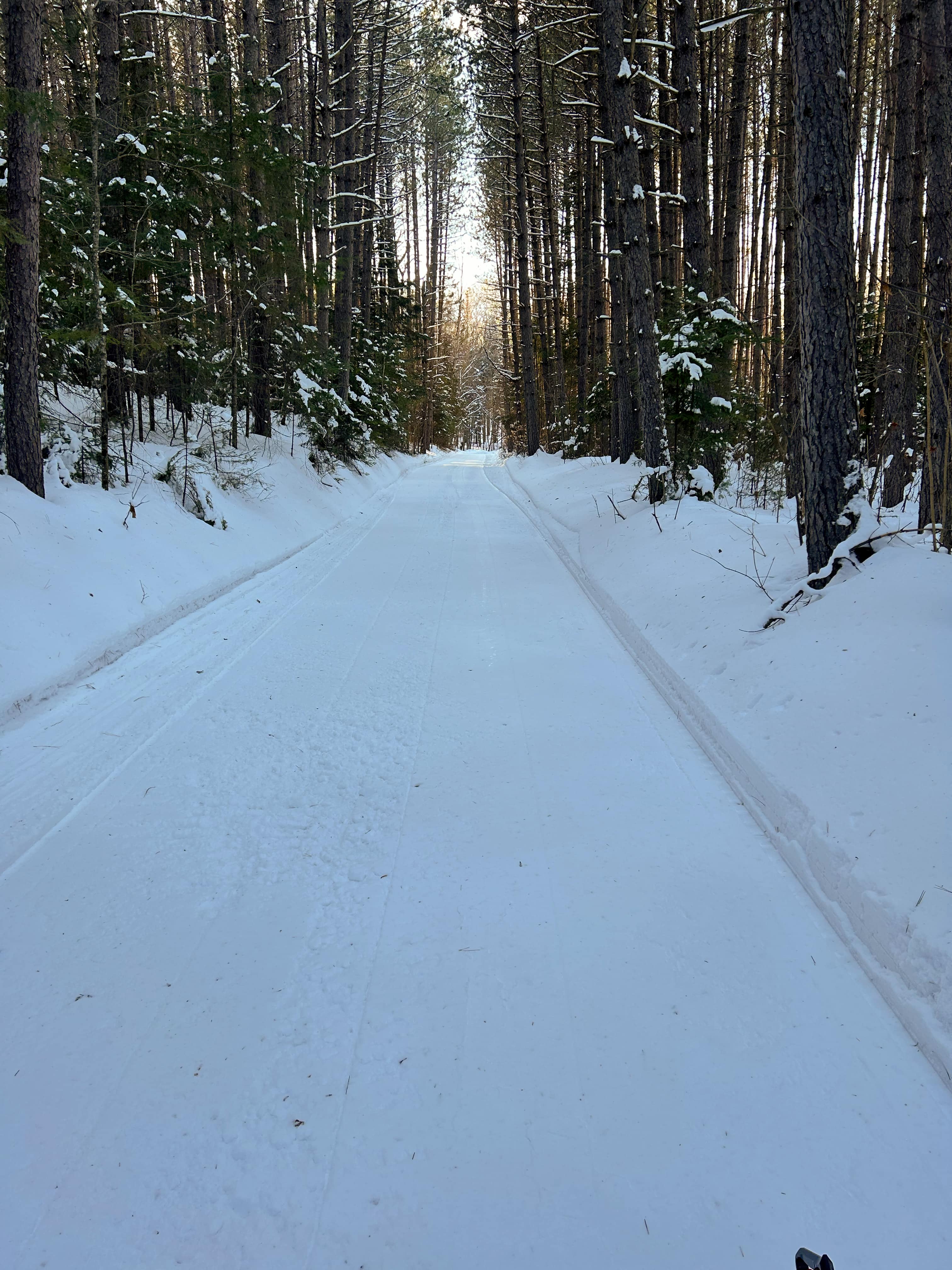 wide open snowmobile trails through trees