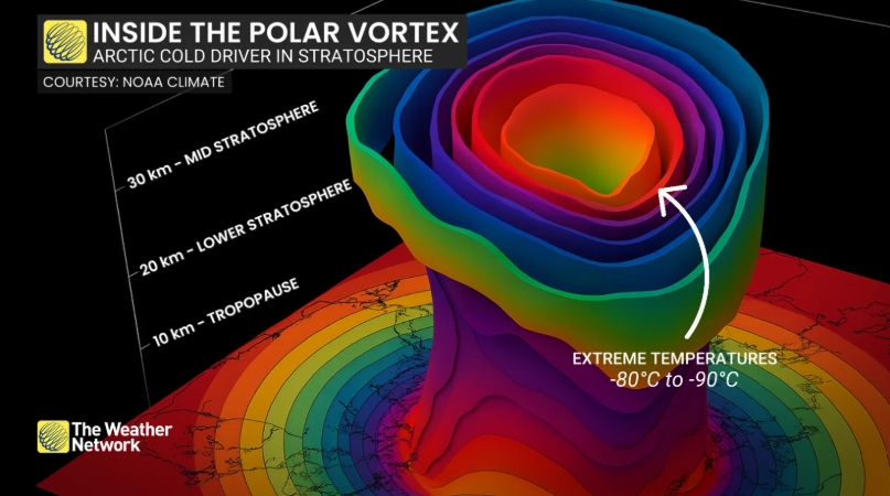 inside the polar vortex illustration