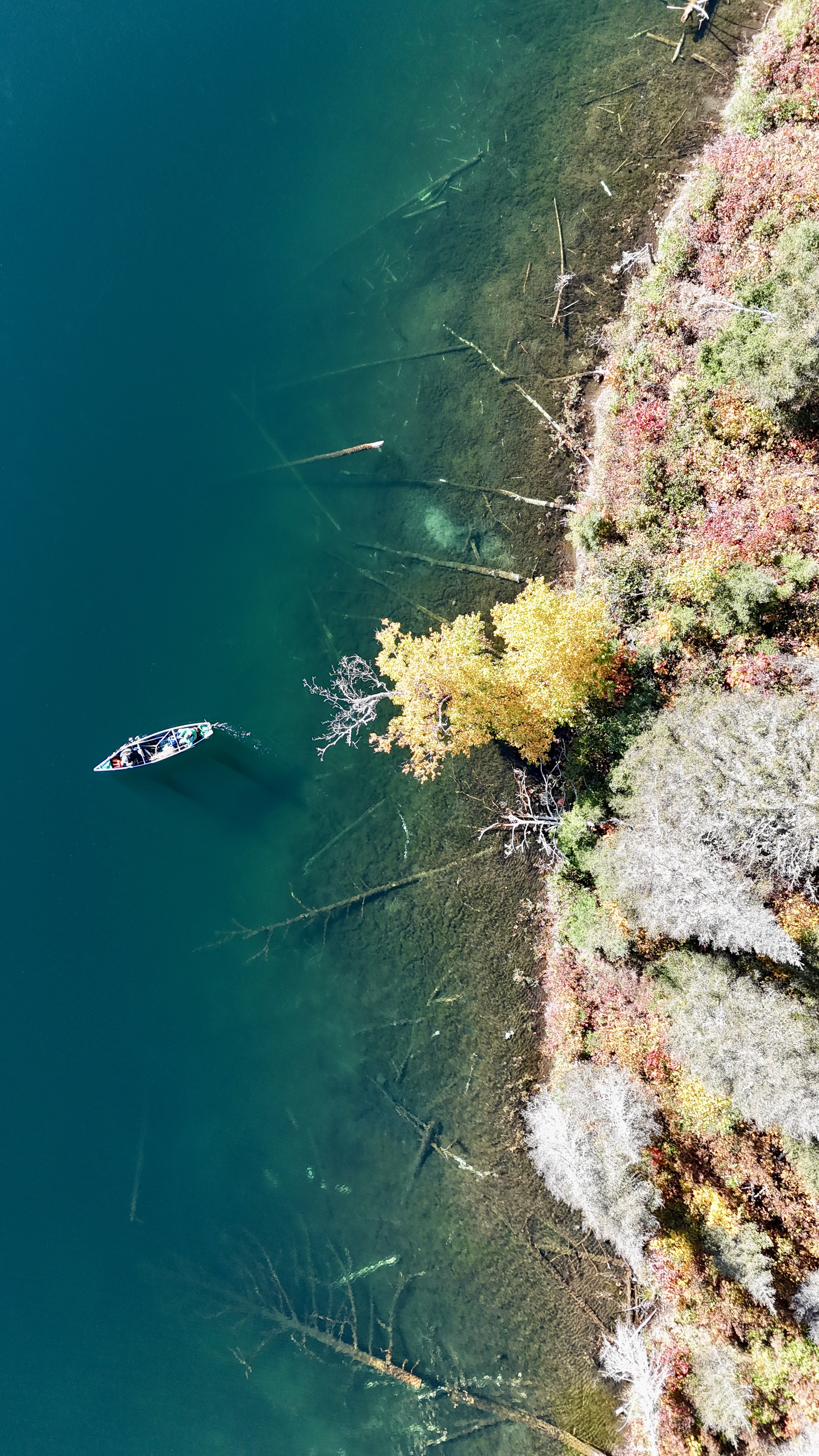 boat tucked against the shoreline of a stocked aurora lake