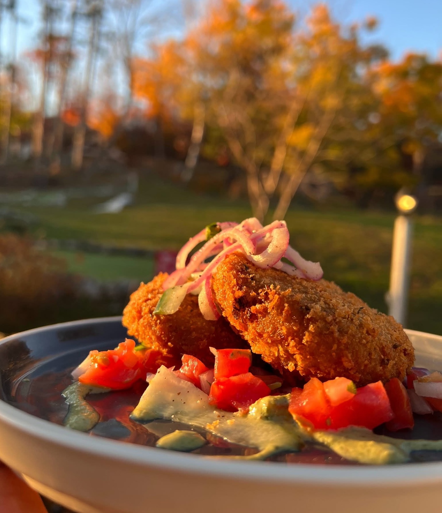 an elegantly plated dish of fried fish with fresh vegetables on an outdoor patio with autumn trees and trails in the background. 