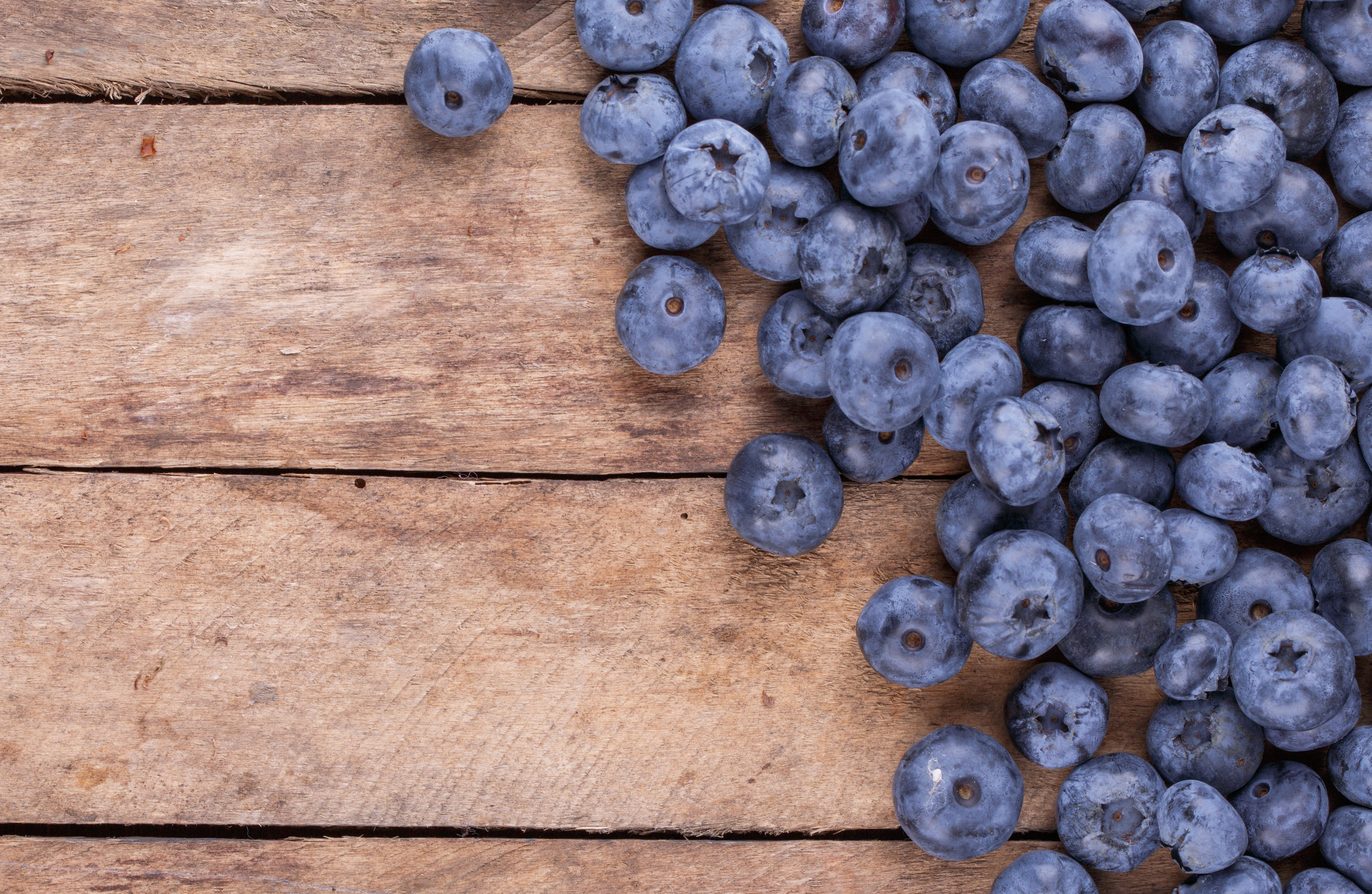 Blueberry-Recipes-2018-title.jpg