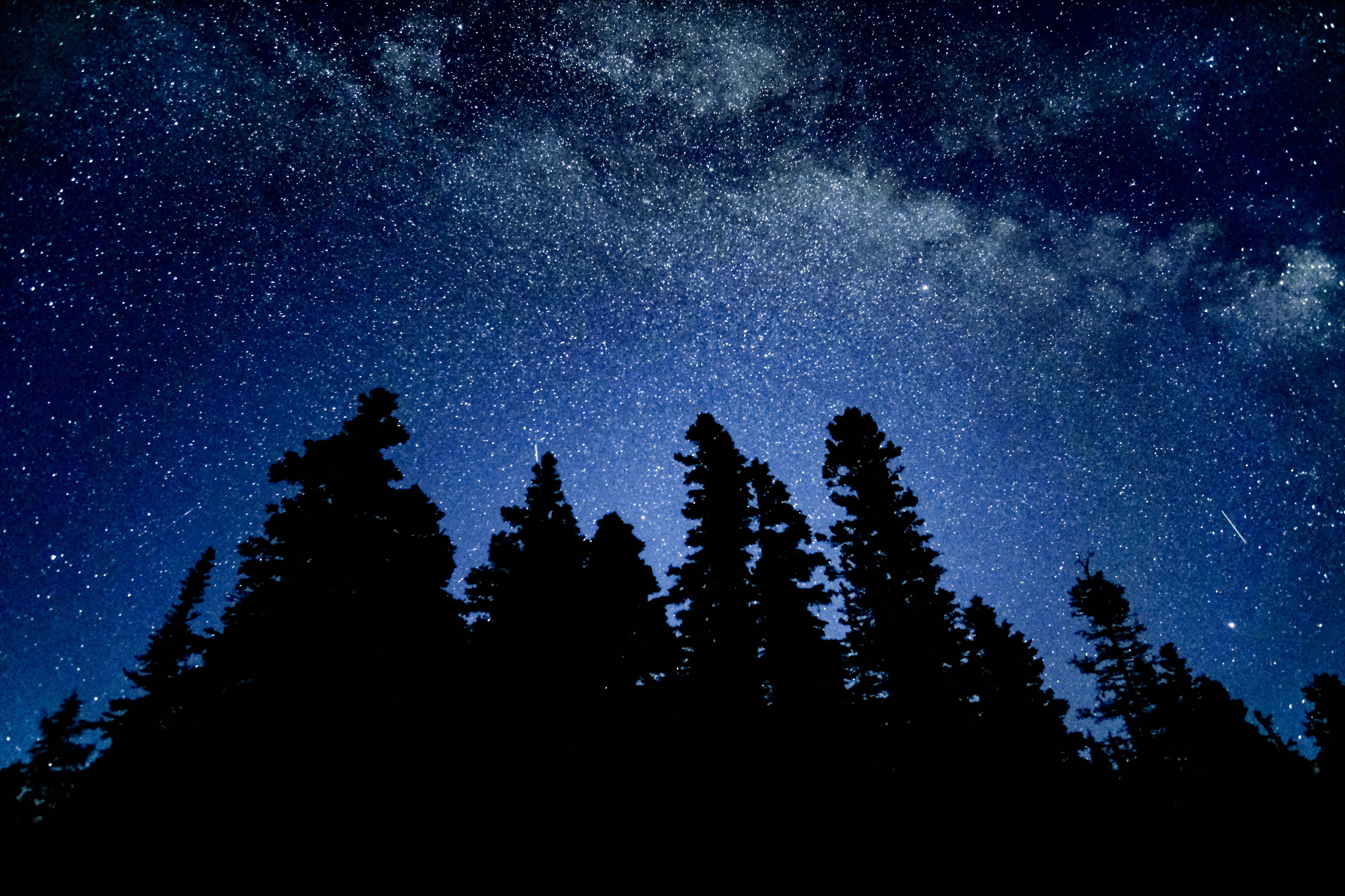 Quetico_Dark_Sky.jpg smaller.jpg Quetico_Dark_Sky.jpg smaller.jpg