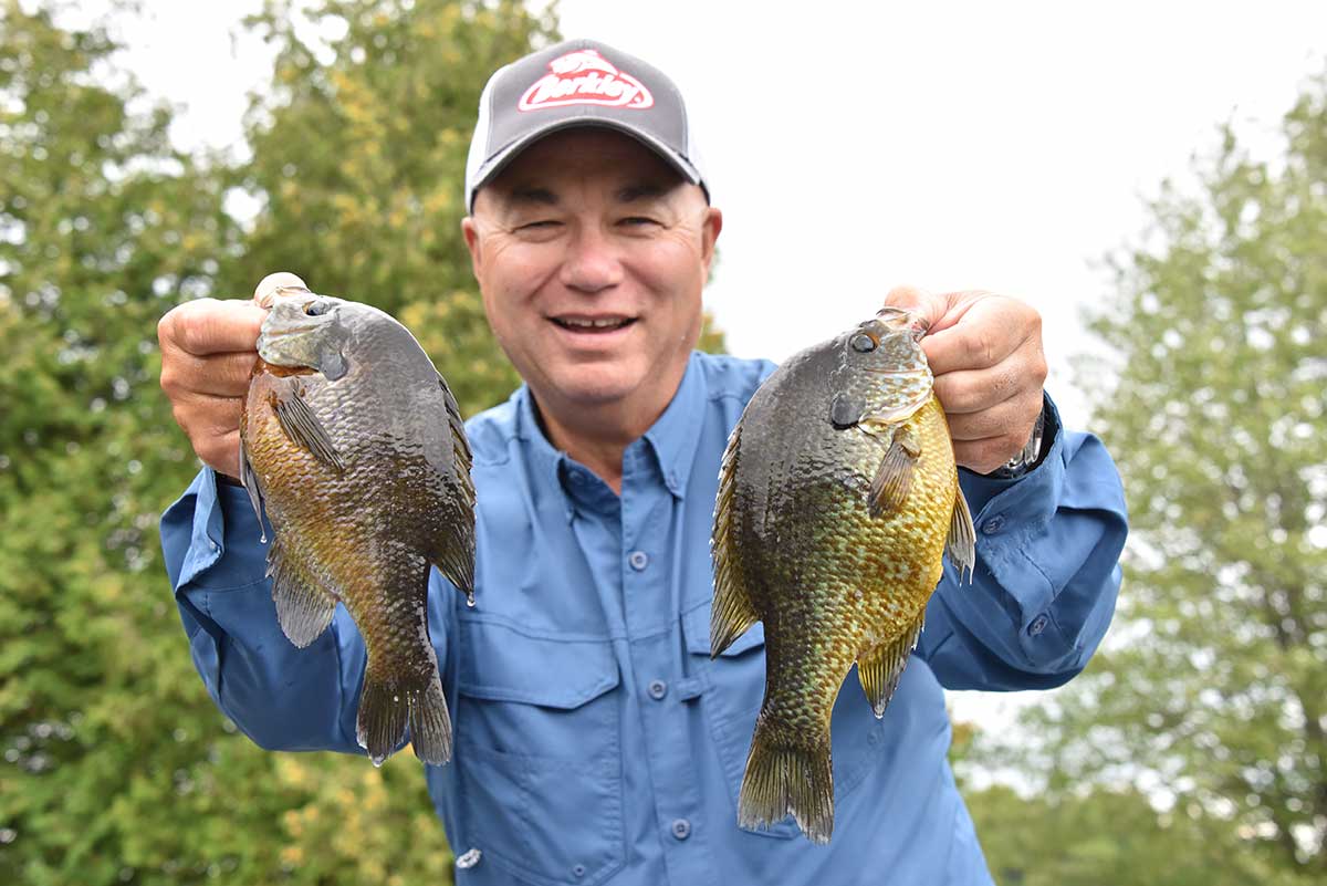cedarcovecottages_bobizumi_panfish.jpg cedarcovecottages_bobizumi_panfish.jpg