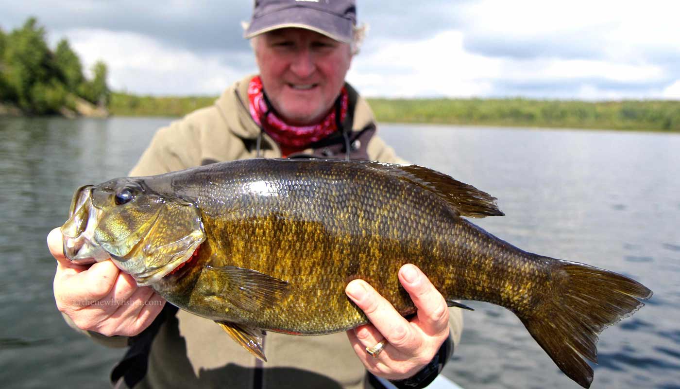 colin_smallie_tnff.jpg colin_smallie_tnff.jpg