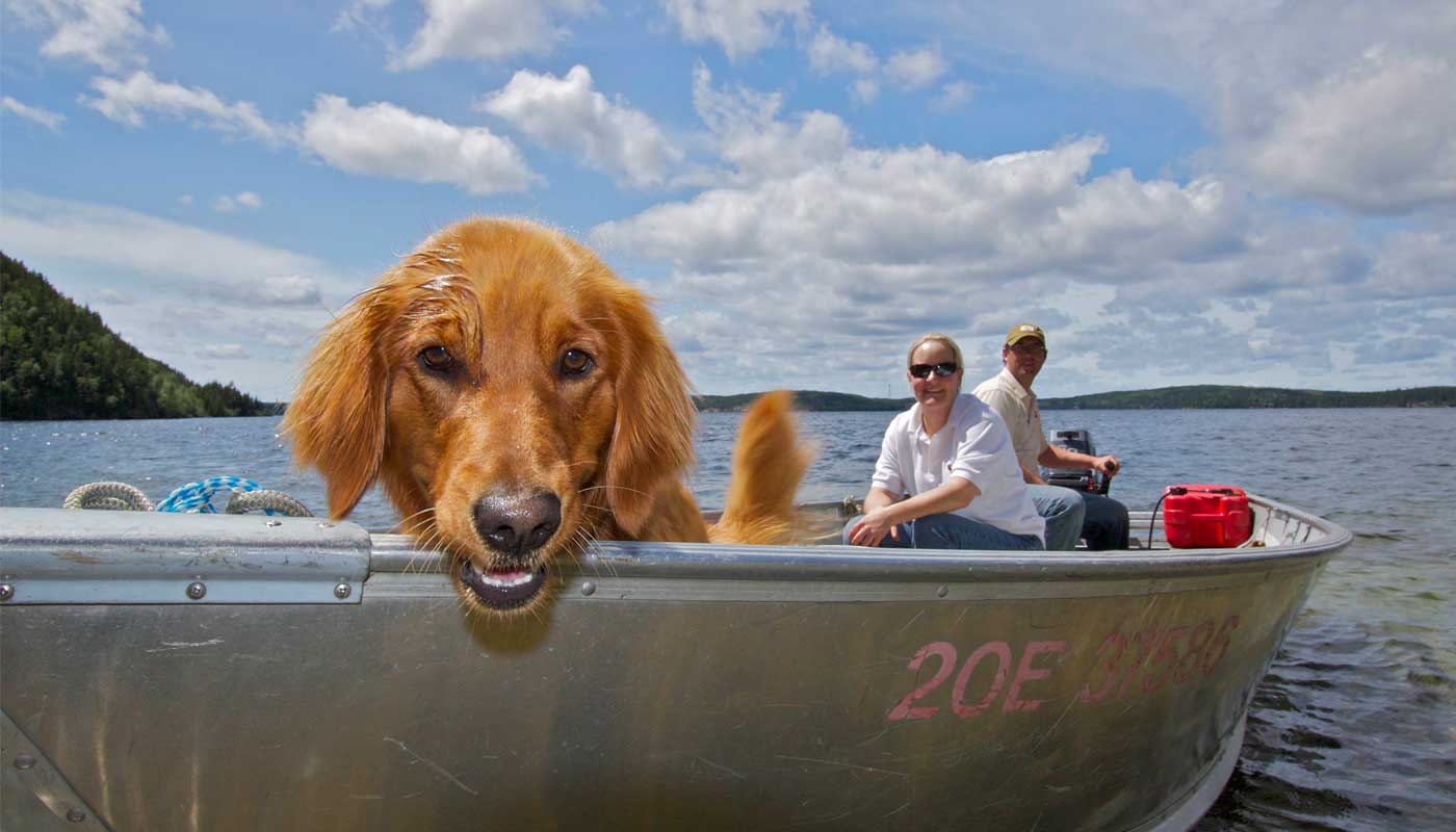 dog_boat.jpg dog_boat.jpg