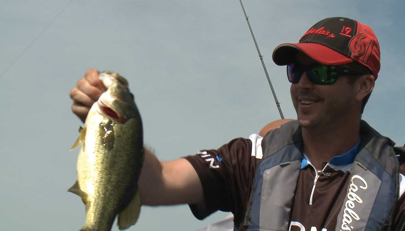 fishtv_elmhirst_bass.jpg fishtv_elmhirst_bass.jpg