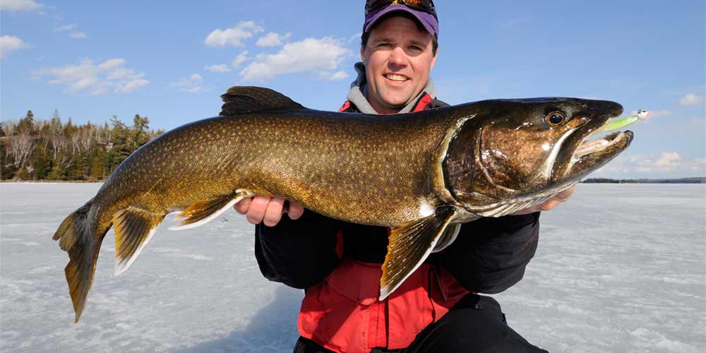 Shoreline Strategies for Stocked Winter Brook Trout