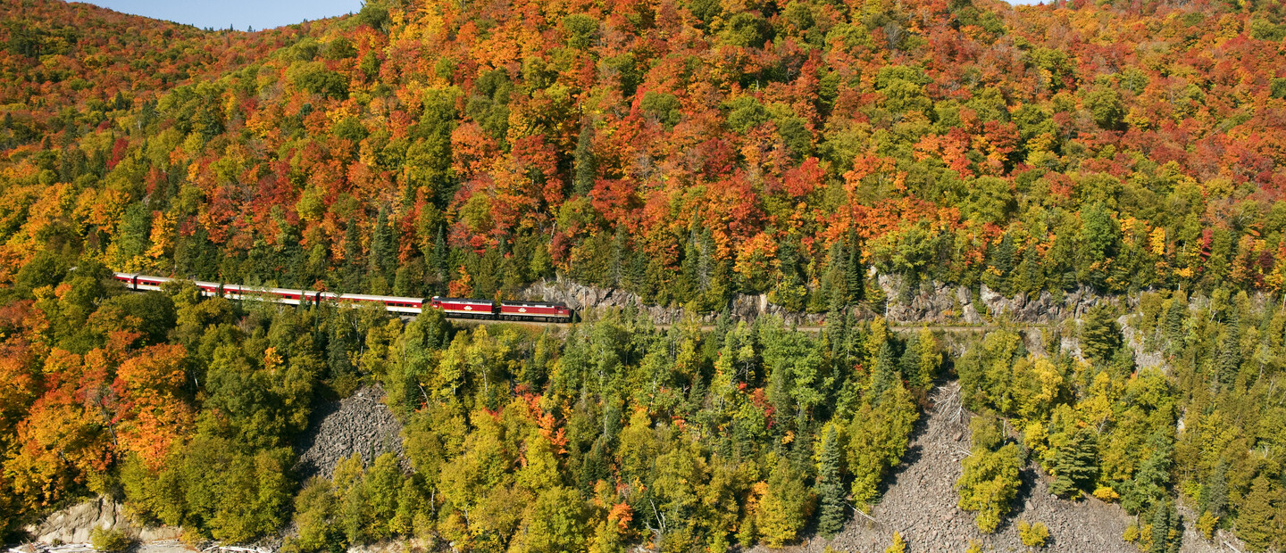 Fall Colour Report Ontario