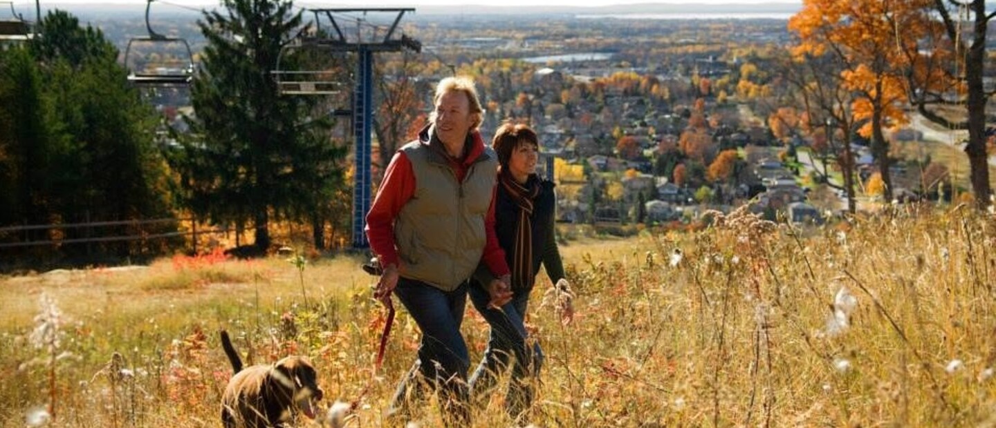 a man and woman dressed in cozy flannels and scarves walk their dog on the Laurentian Skill Hill in the autumn among vibrant trees and gold grasses.