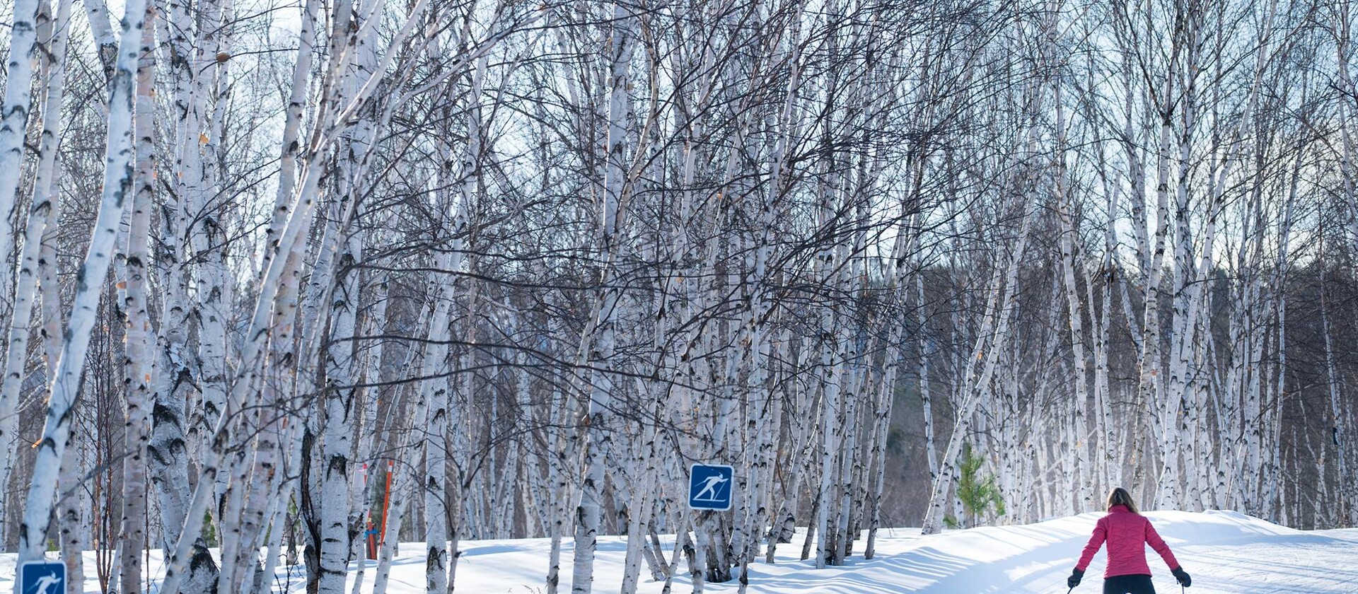 スキー Northern Country 46887340_1972302732805349_6479