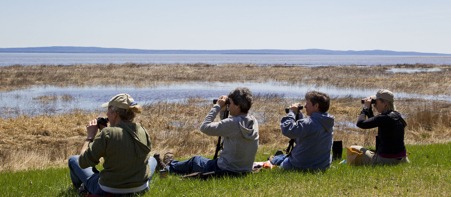 Discover Top Tips for Beginner Bird Watching - Ecobnb