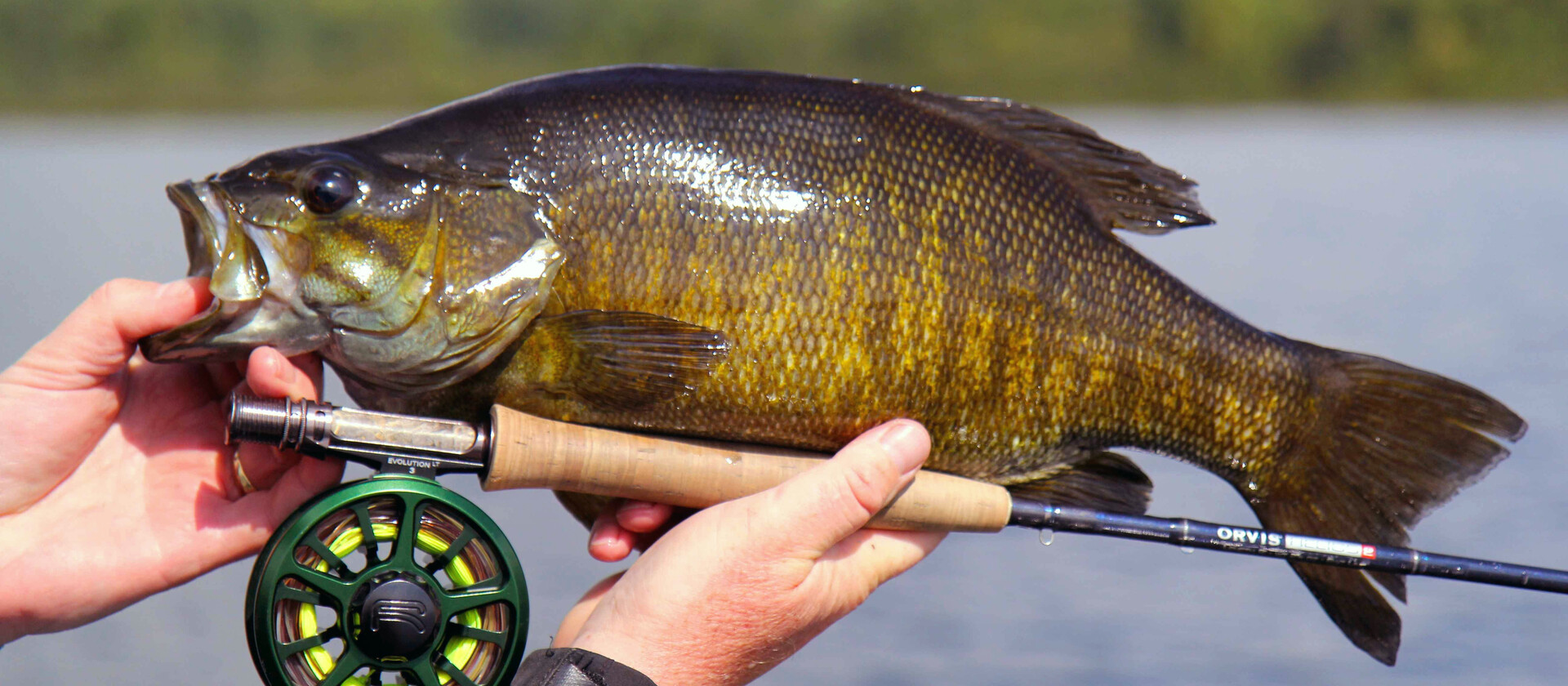 Subsurface Smallmouth On A Fly | Northern Ontario Travel