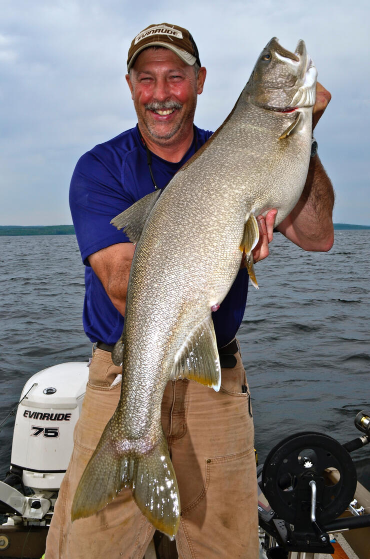lake trout mark romanack fishing 411